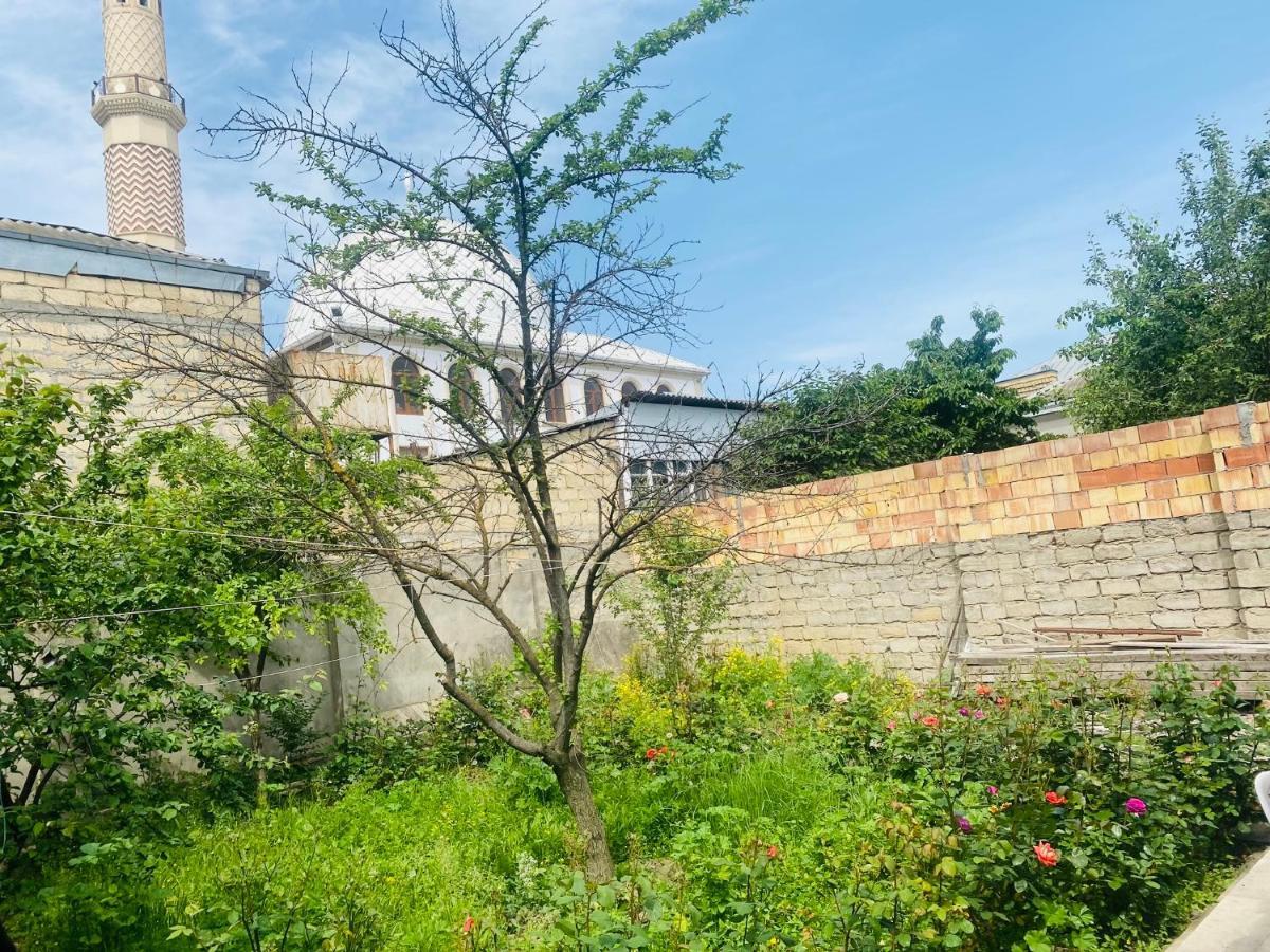 House In Quba 빌라 외부 사진